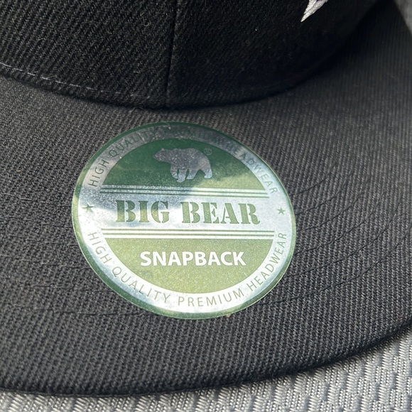 NWT Men’s Seattle Seahawks SnapBack Hat - Picture 3 of 9